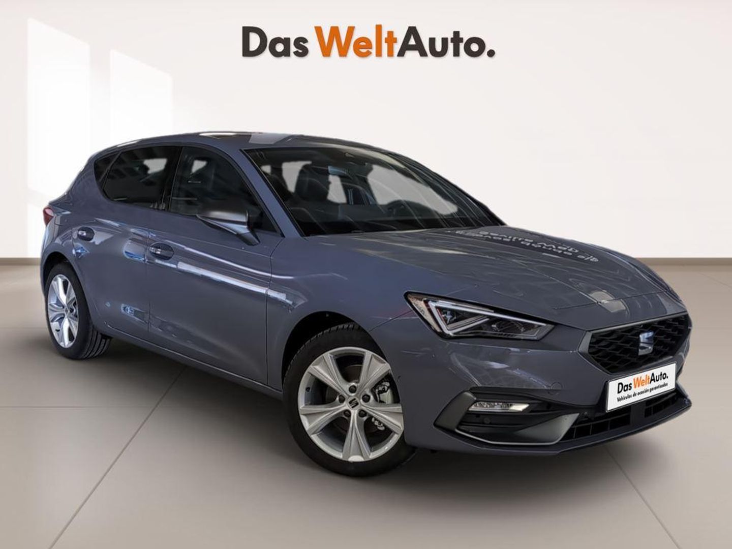 SEAT Leon ST 1.5 TSI S&S FR Special Edition 110 kW (150 CV) Gris Familiar