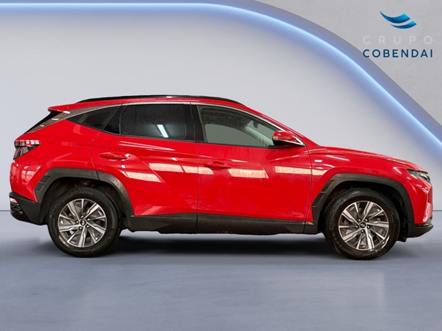 Hyundai Tucson 1.6 CRDI 48V Maxx Sky DCT 100 kW (136 CV)