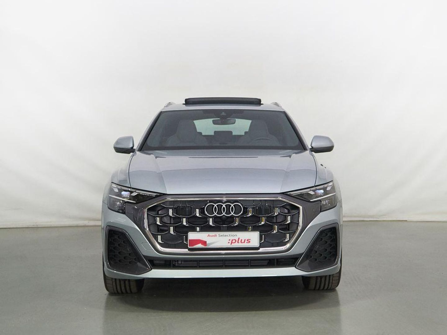 Audi Q8 S line 45 TDI quattro 170 kW (231 CV) tiptronic Gris Plata SUV