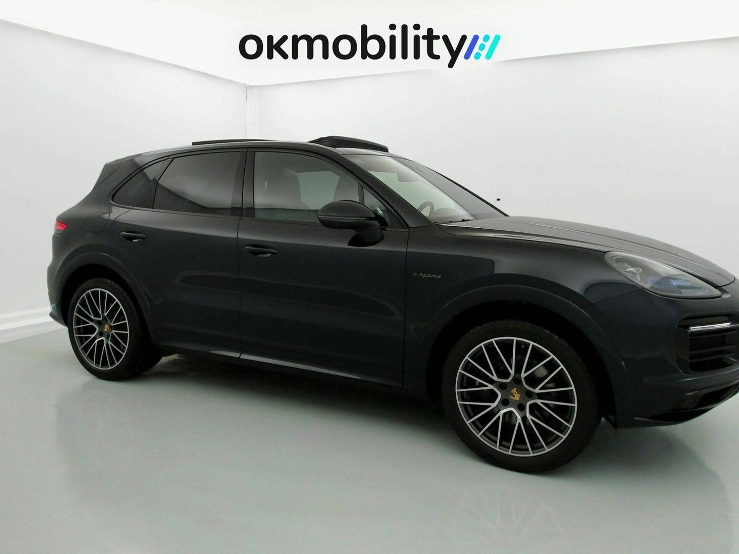 Porsche Cayenne Cayenne E-Hybrid Platinum Edition 340 kW (462 CV)