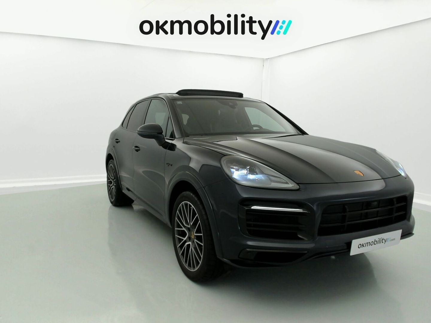Porsche Cayenne Cayenne E-Hybrid Platinum Edition 340 kW (462 CV)