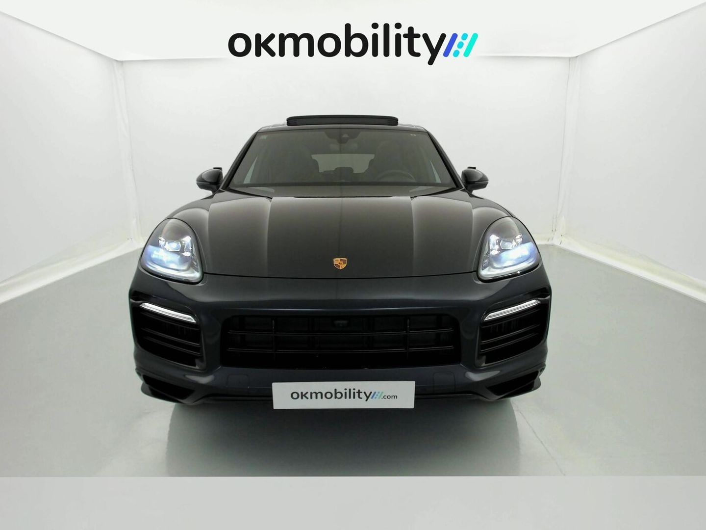 Porsche Cayenne Cayenne E-Hybrid Platinum Edition 340 kW (462 CV)