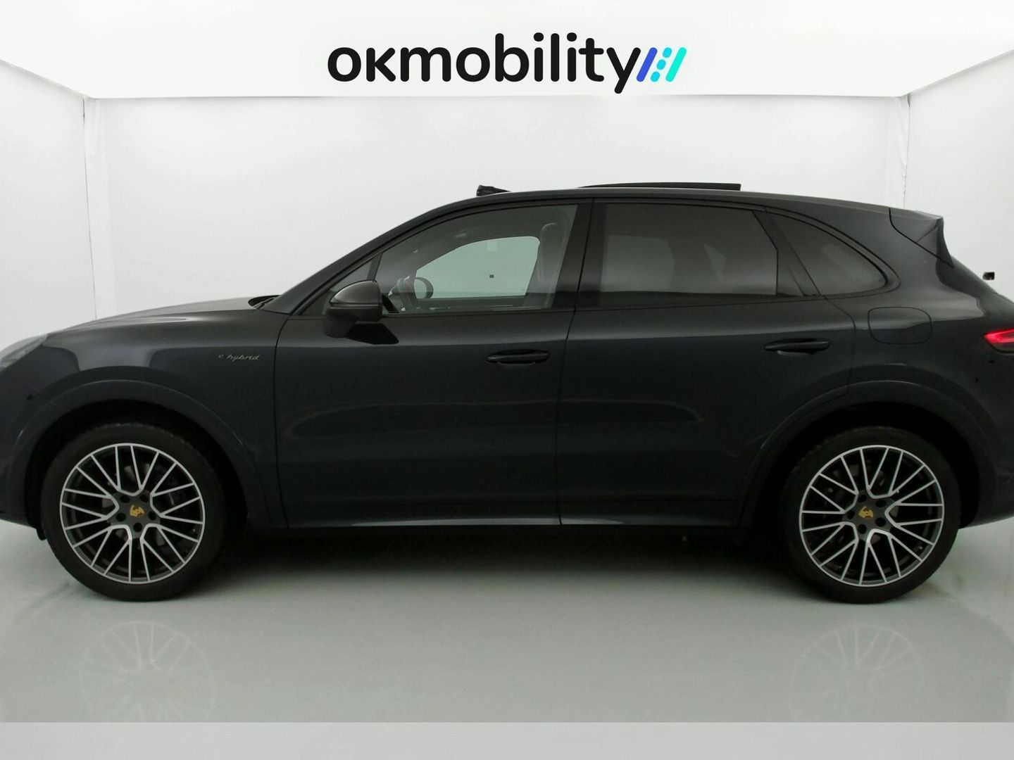 Porsche Cayenne Cayenne E-Hybrid Platinum Edition 340 kW (462 CV)