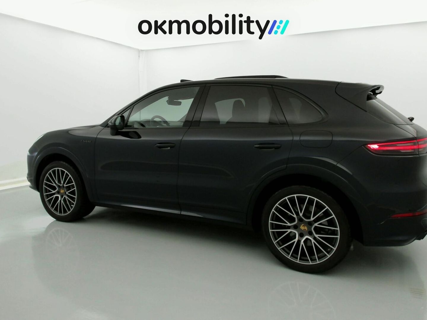 Porsche Cayenne Cayenne E-Hybrid Platinum Edition 340 kW (462 CV)