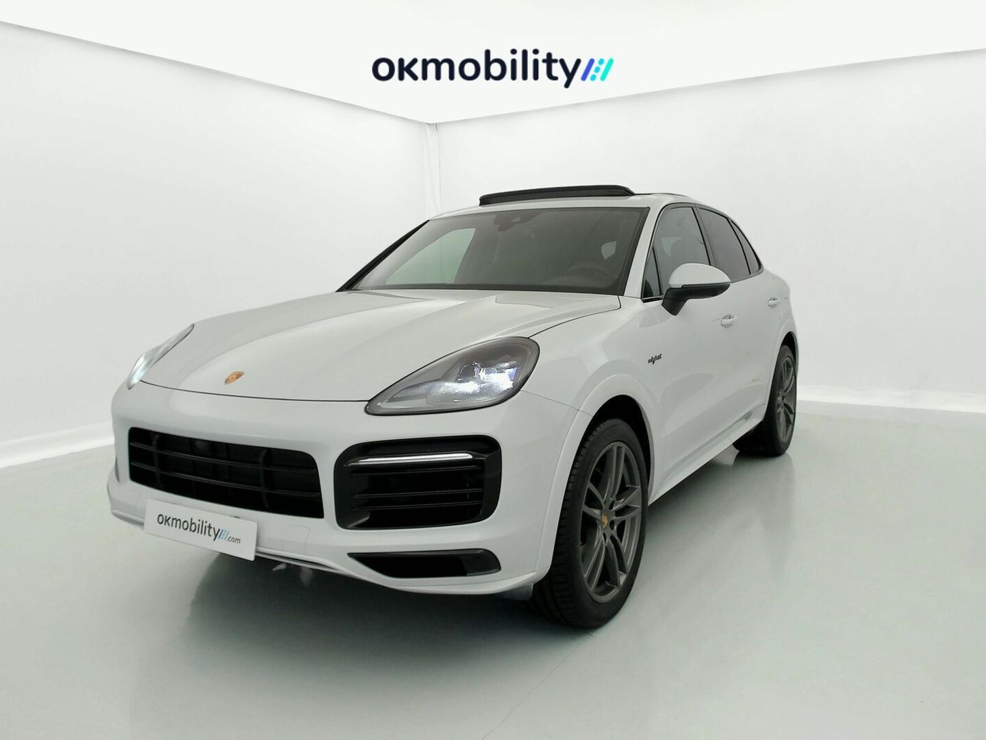 Porsche Cayenne Cayenne E-Hybrid Platinum Edition 340 kW (462 CV)