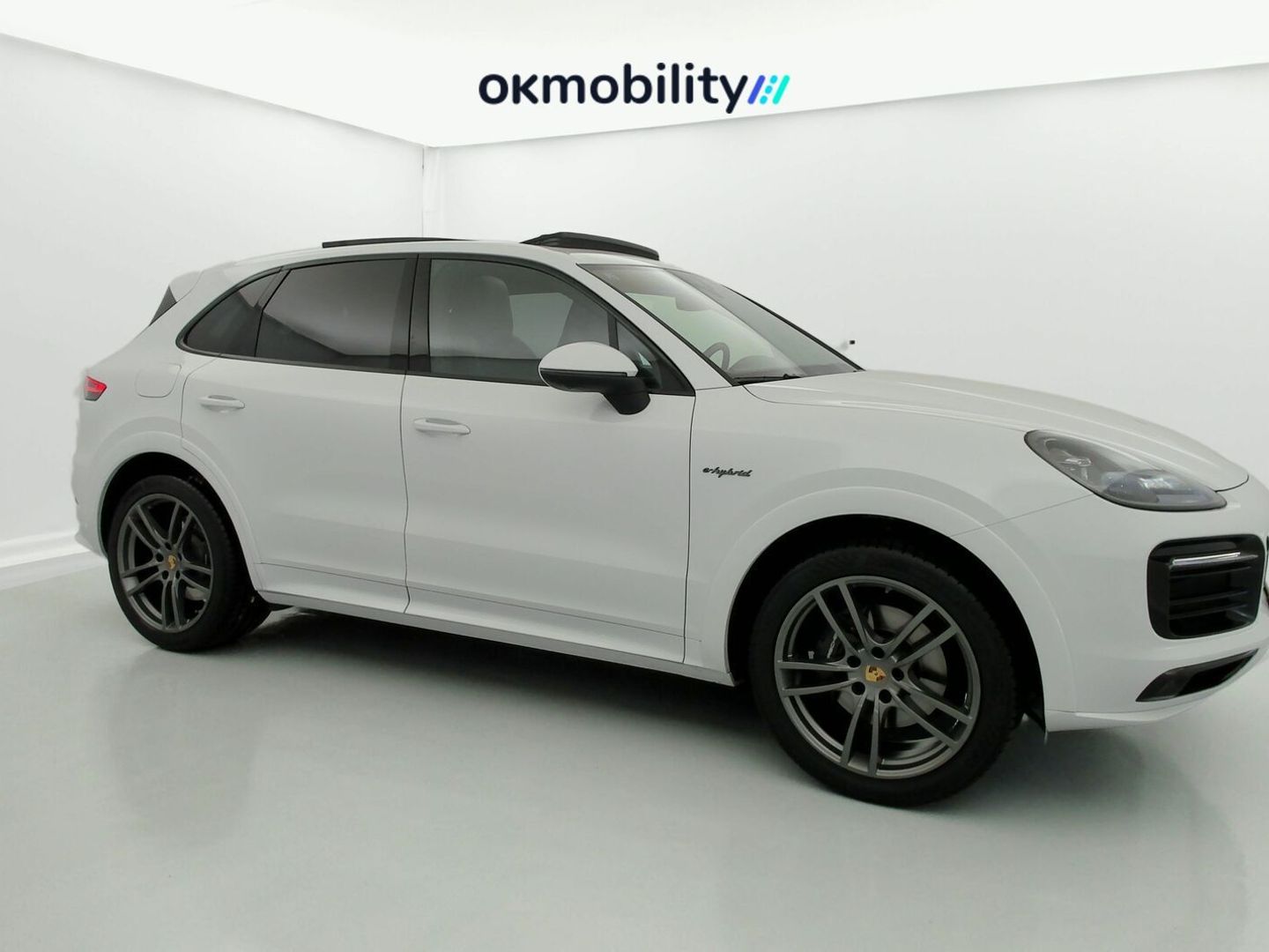 Porsche Cayenne Cayenne E-Hybrid Platinum Edition 340 kW (462 CV)