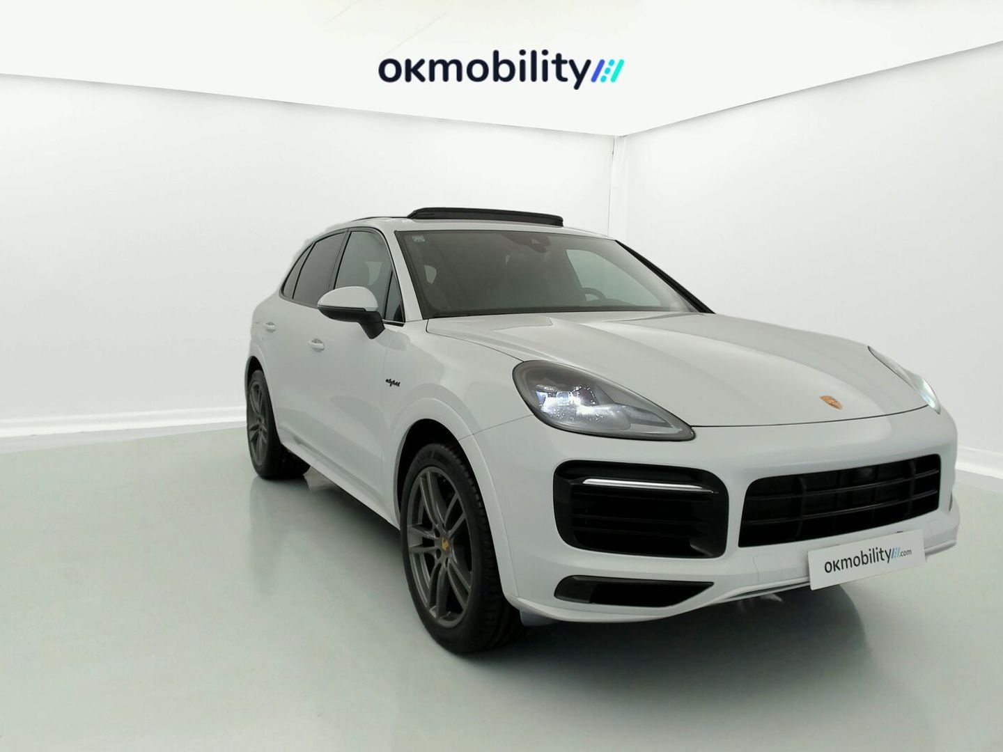Porsche Cayenne Cayenne E-Hybrid Platinum Edition 340 kW (462 CV)
