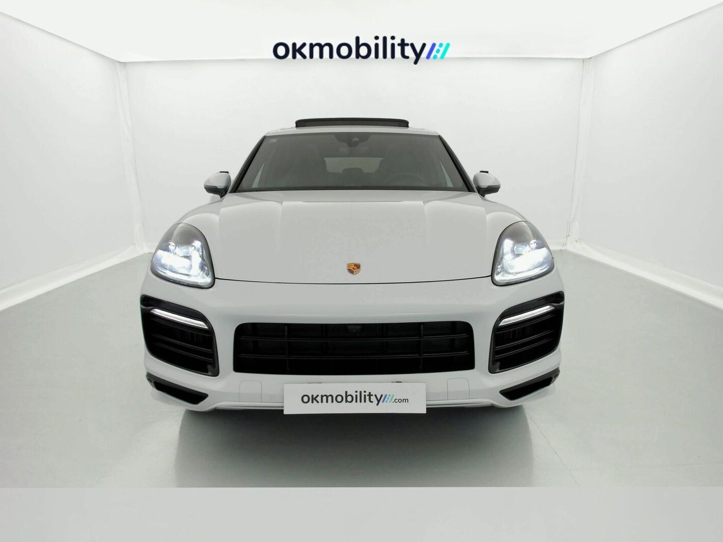 Porsche Cayenne Cayenne E-Hybrid Platinum Edition 340 kW (462 CV)