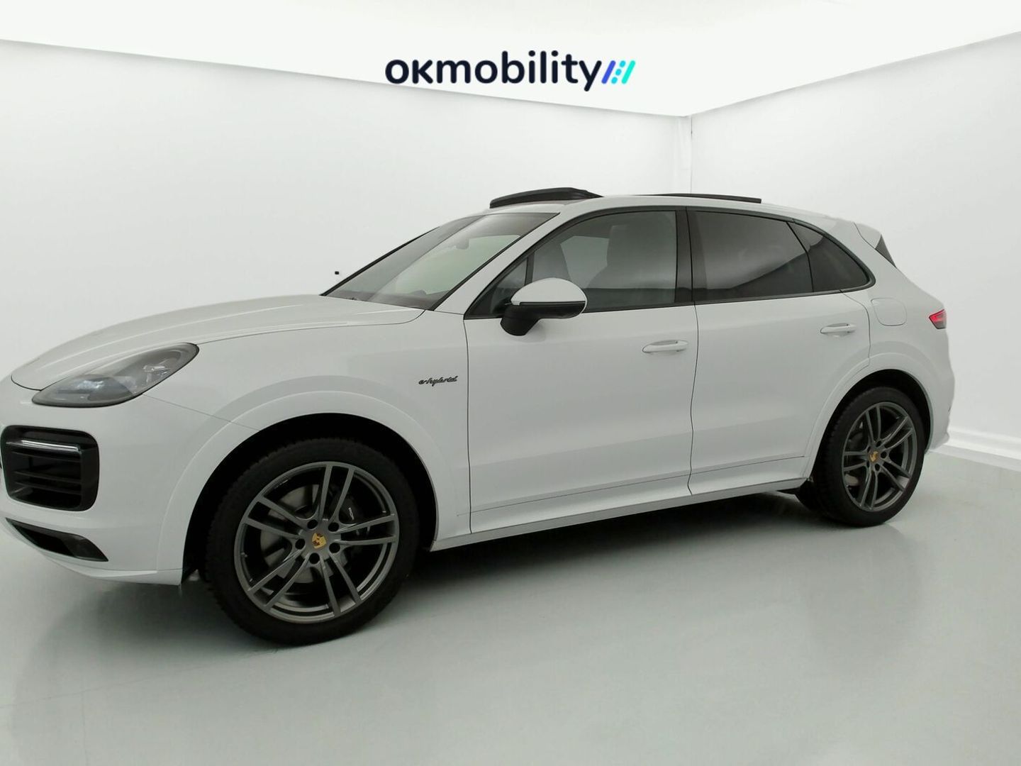Porsche Cayenne Cayenne E-Hybrid Platinum Edition 340 kW (462 CV)