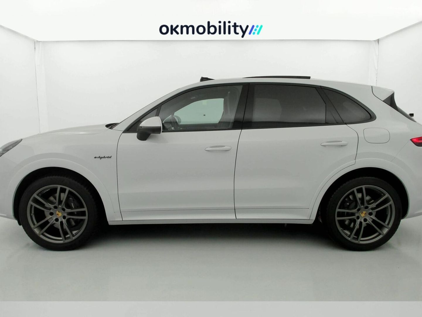 Porsche Cayenne Cayenne E-Hybrid Platinum Edition 340 kW (462 CV)
