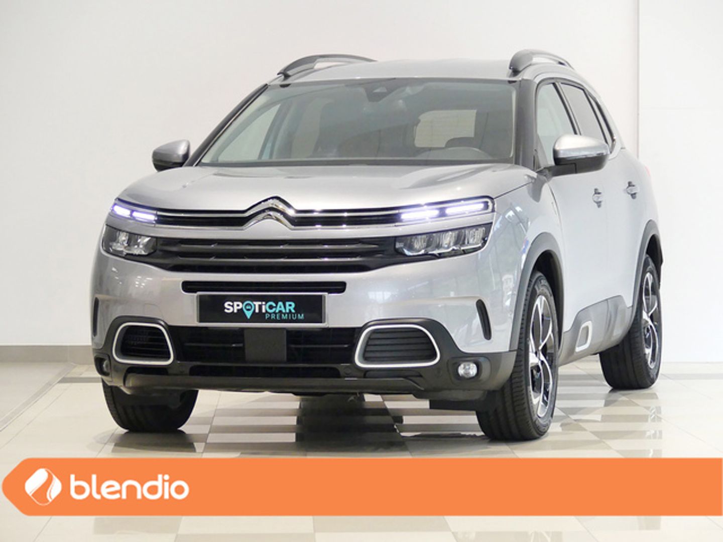 Citroen C5 Aircross BlueHdi 130 S&S C Series EAT8 96 kW (131 CV) Gris SUV