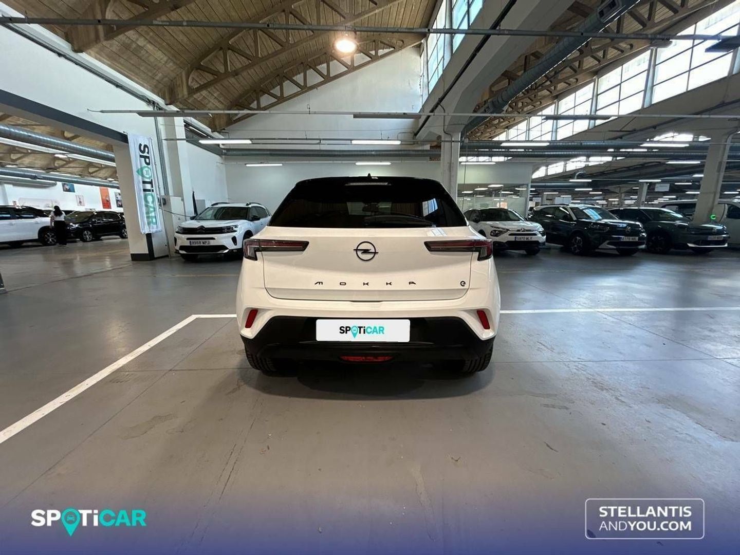 Opel Mokka-e BEV 50kWh GS Line-e 100 kW (136 CV)