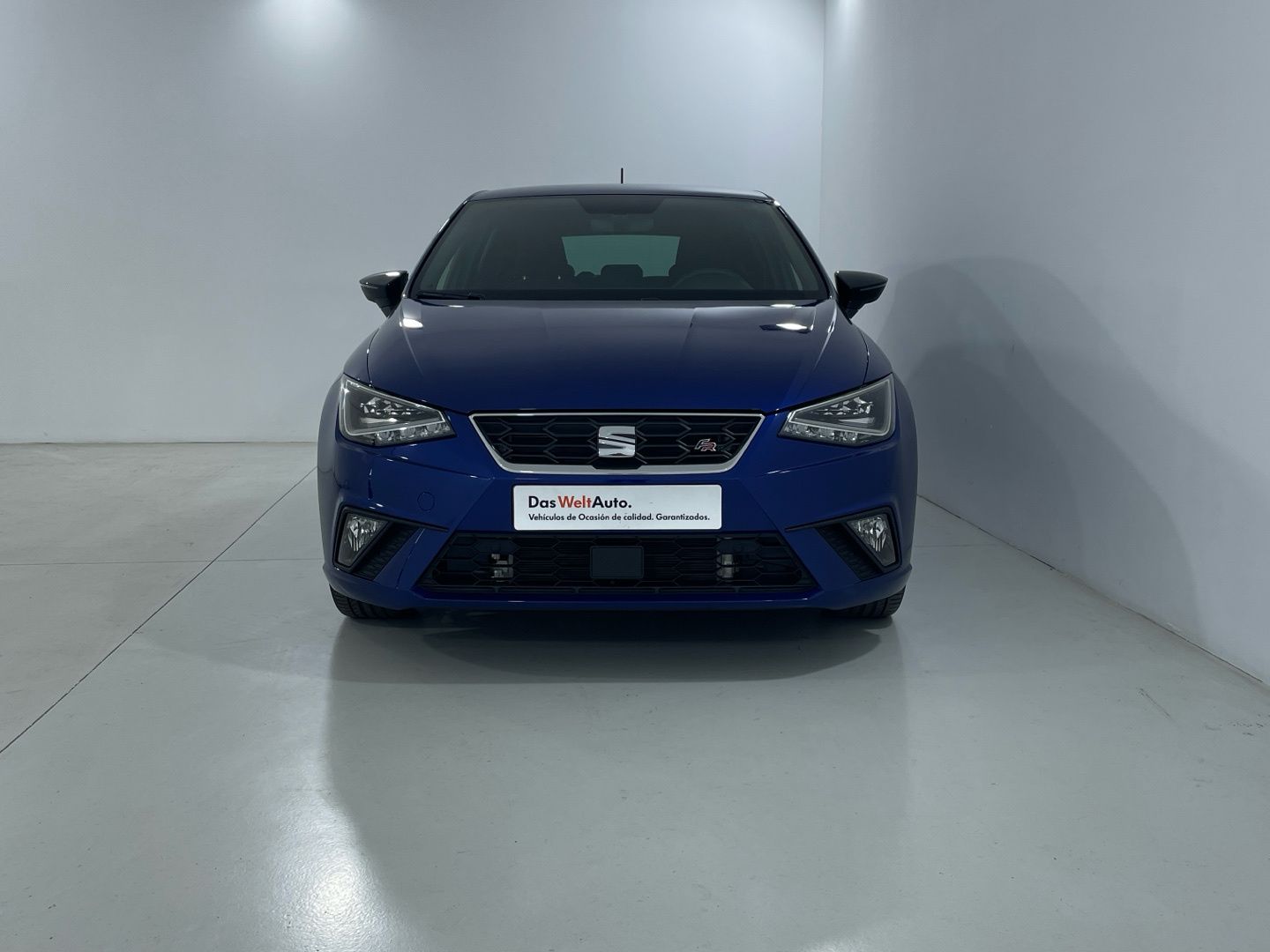 SEAT Ibiza 1.0 TSI FR Go2 81 kW (110 CV)