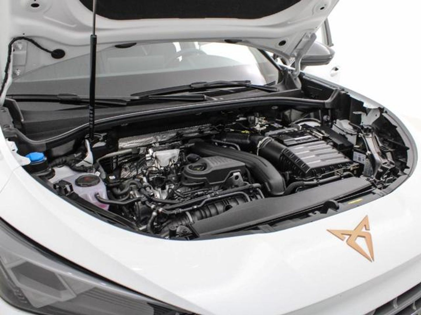 CUPRA Terramar 1.5 eTSI DSG 110 kW (150 CV)