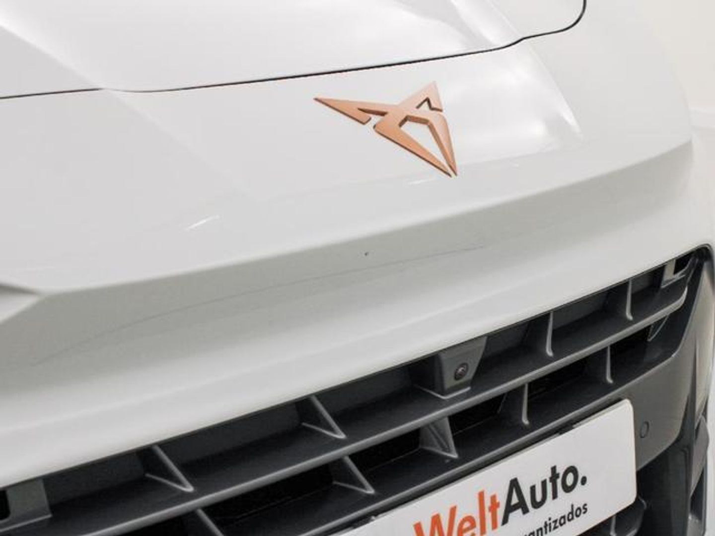 CUPRA Terramar 1.5 eTSI DSG 110 kW (150 CV)