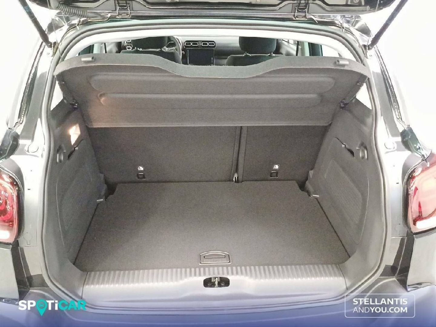Citroen C3 Aircross PureTech 110 S&S Plus 81 kW (110 CV)