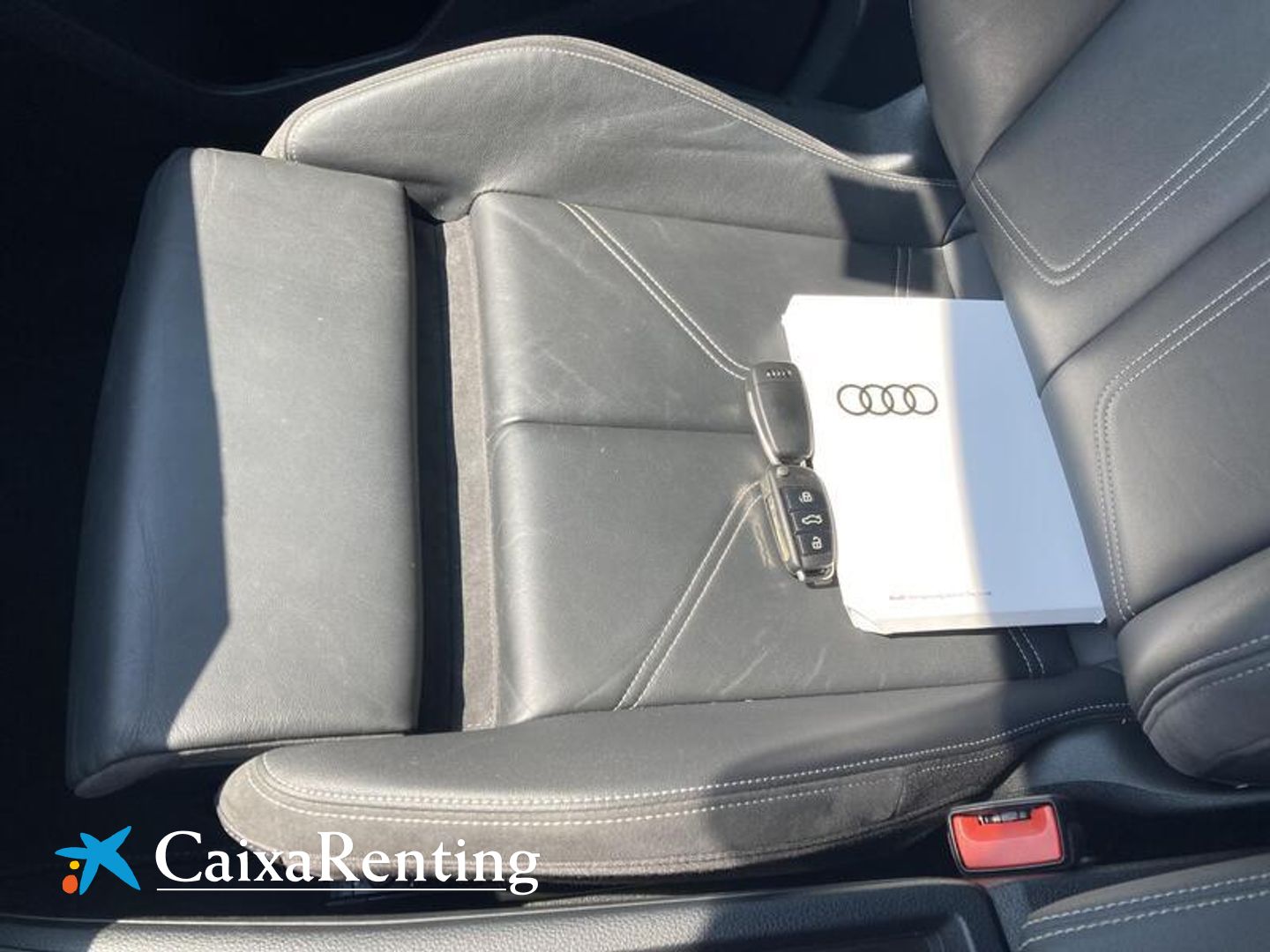 Audi Q3 Black line 35 TDI 110 kW (150 CV) S tronic