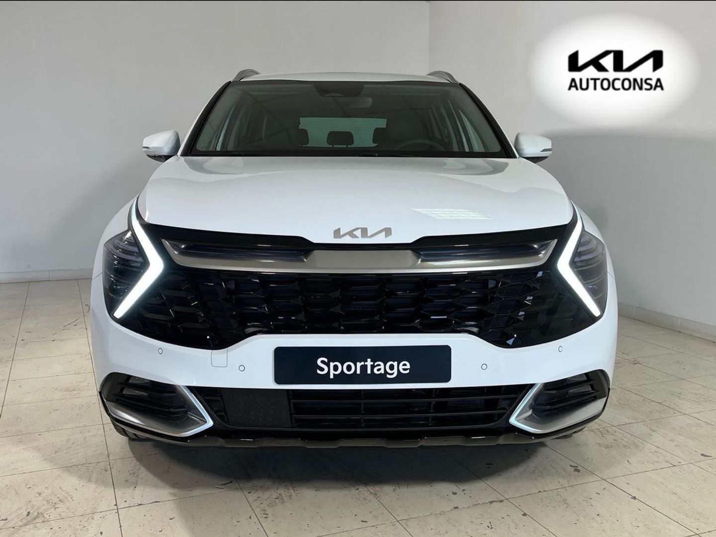 Kia Sportage 1.6 T-GDi PHEV Tech 4x4 Auto 185 kW (252 CV)