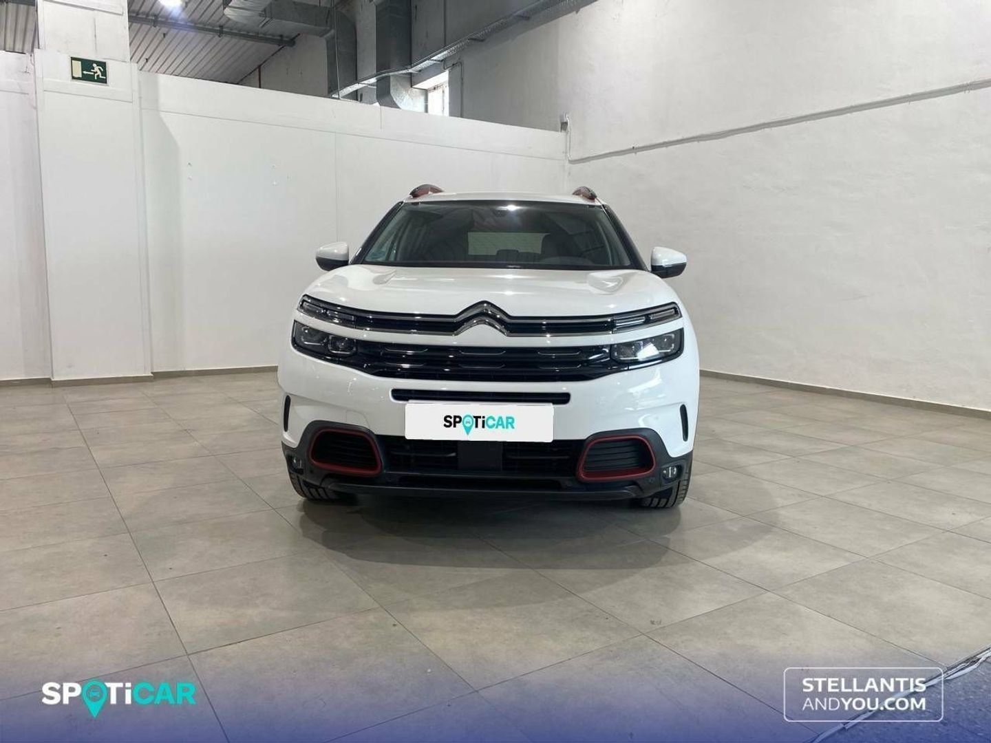 Citroen C5 Aircross BlueHdi 130 S&S Shine EAT8 96 kW (131 CV)