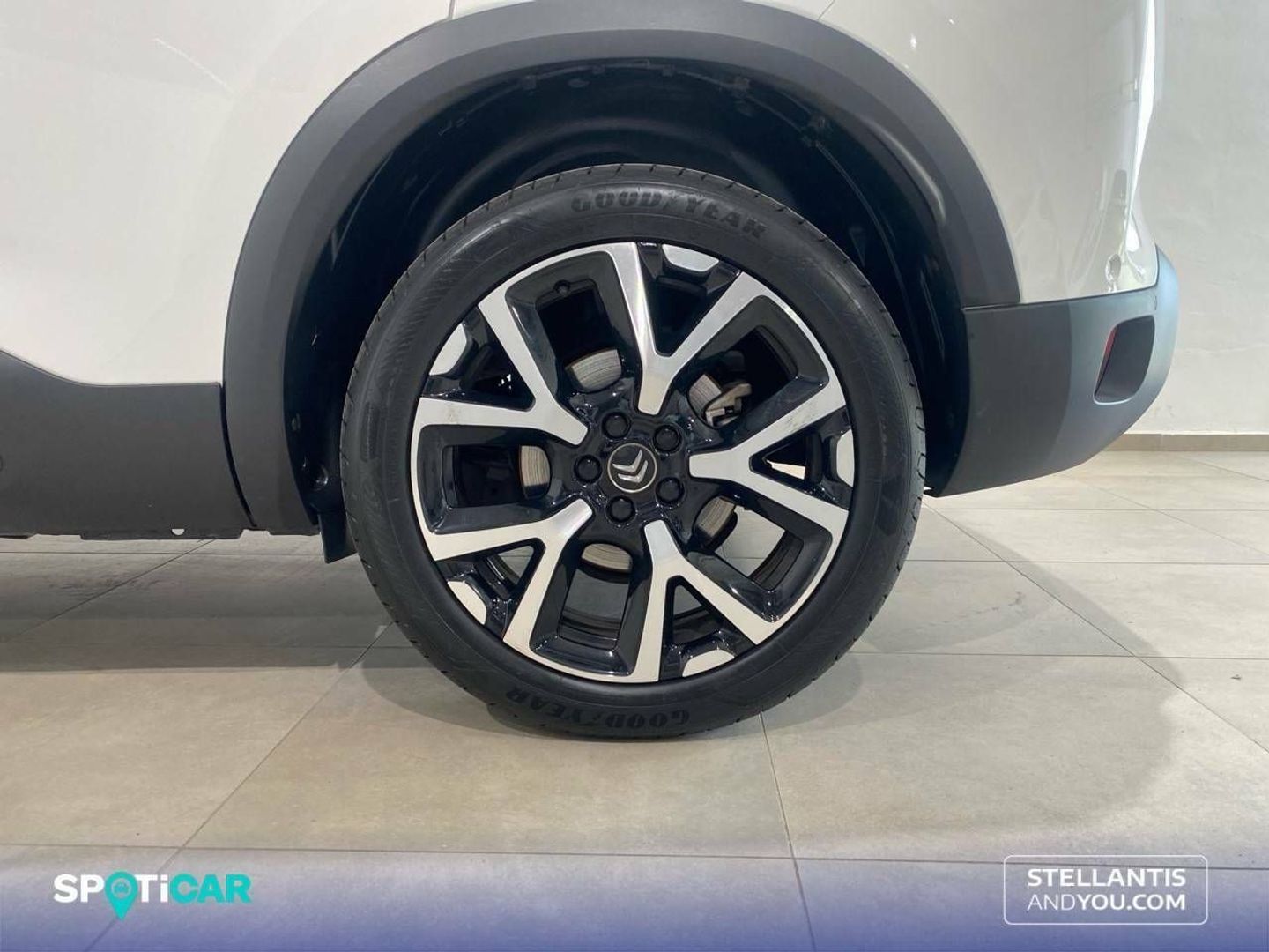 Citroen C5 Aircross BlueHdi 130 S&S Shine EAT8 96 kW (131 CV)