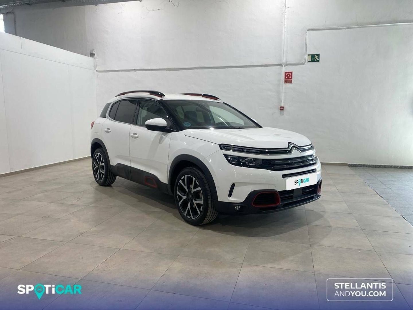 Citroen C5 Aircross BlueHdi 130 S&S Shine EAT8 96 kW (131 CV)