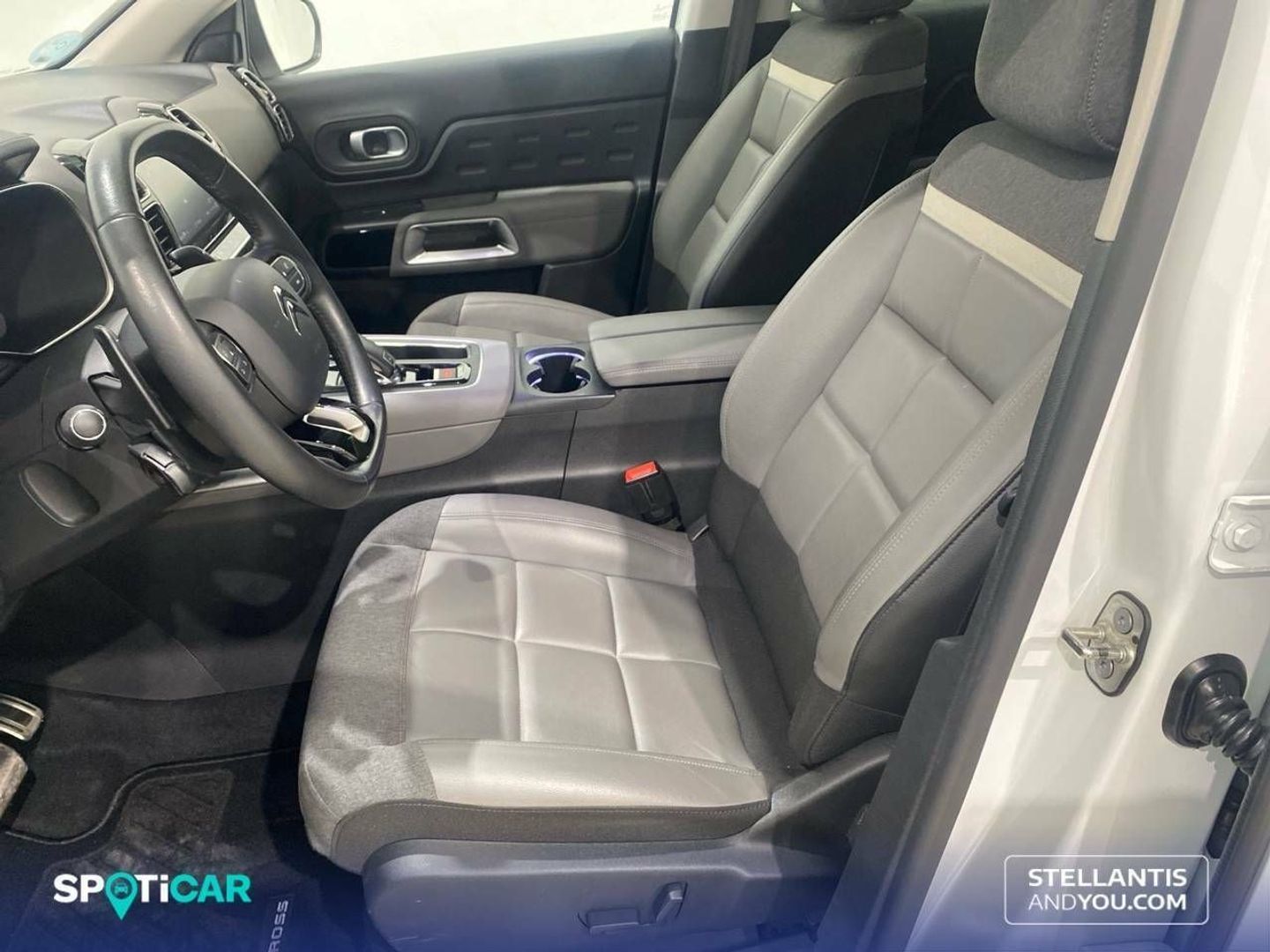 Citroen C5 Aircross BlueHdi 130 S&S Shine EAT8 96 kW (131 CV)