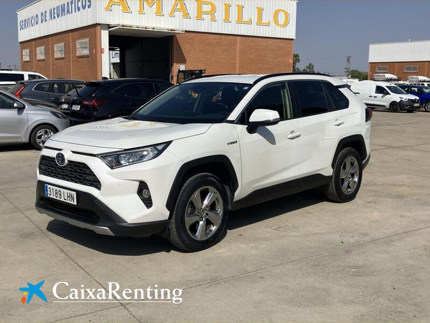 Toyota Rav4 2.5l hybrid Advance 160 kW (218 CV)