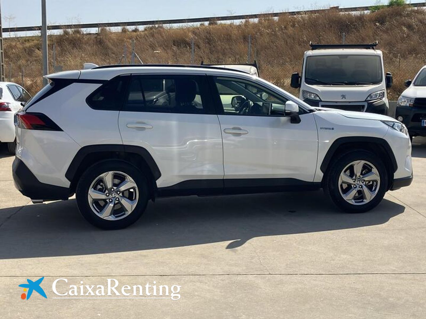 Toyota Rav4 2.5l hybrid Advance 160 kW (218 CV)