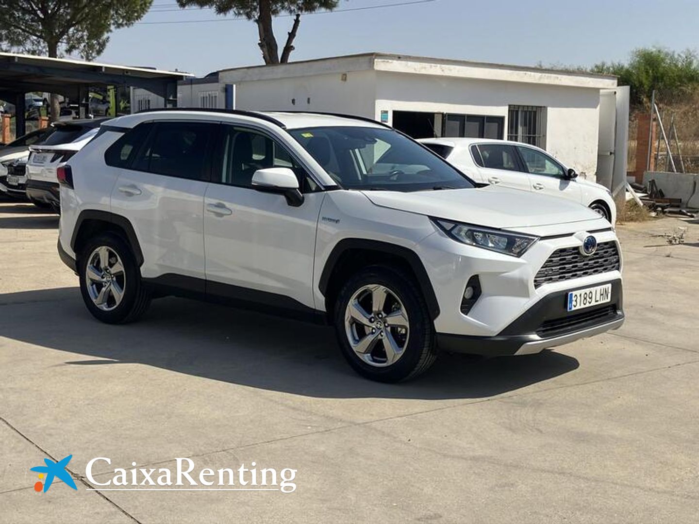 Toyota Rav4 2.5l hybrid Advance 160 kW (218 CV)