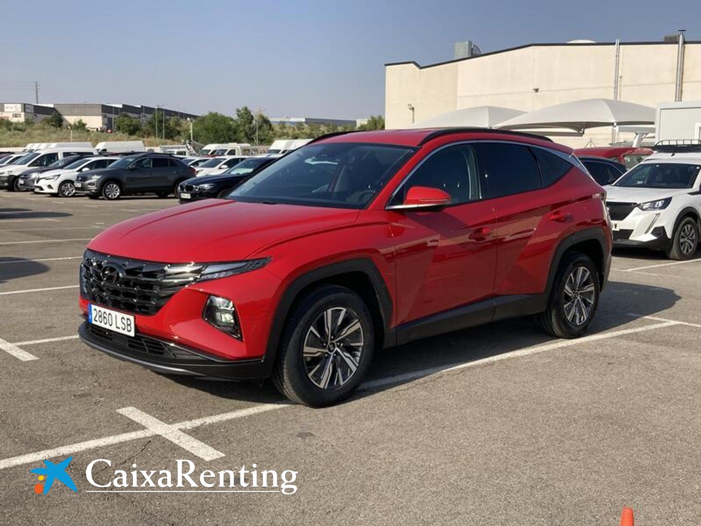 Hyundai Tucson 1.6 TGDI HEV Maxx Auto 169 kW (230 CV) Rojo SUV