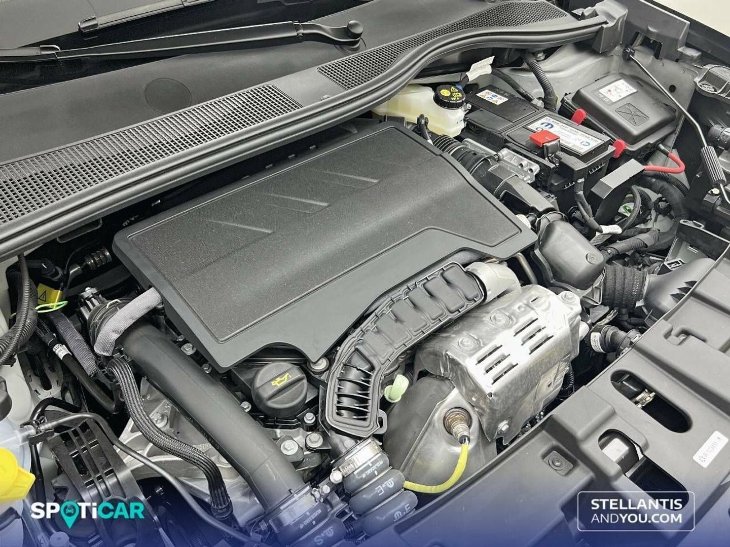 Jeep Avenger 1.2 G Altitude 74 kW (100 CV)