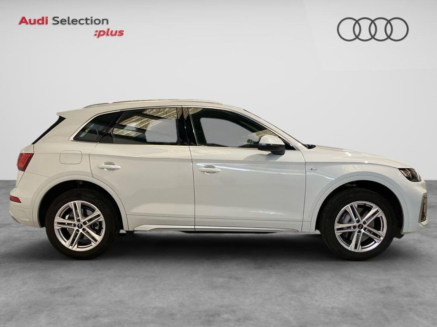 Audi Q5 TFSIe S Line 50 TFSIe quattro-ultra 220 kW (299 CV) S tronic