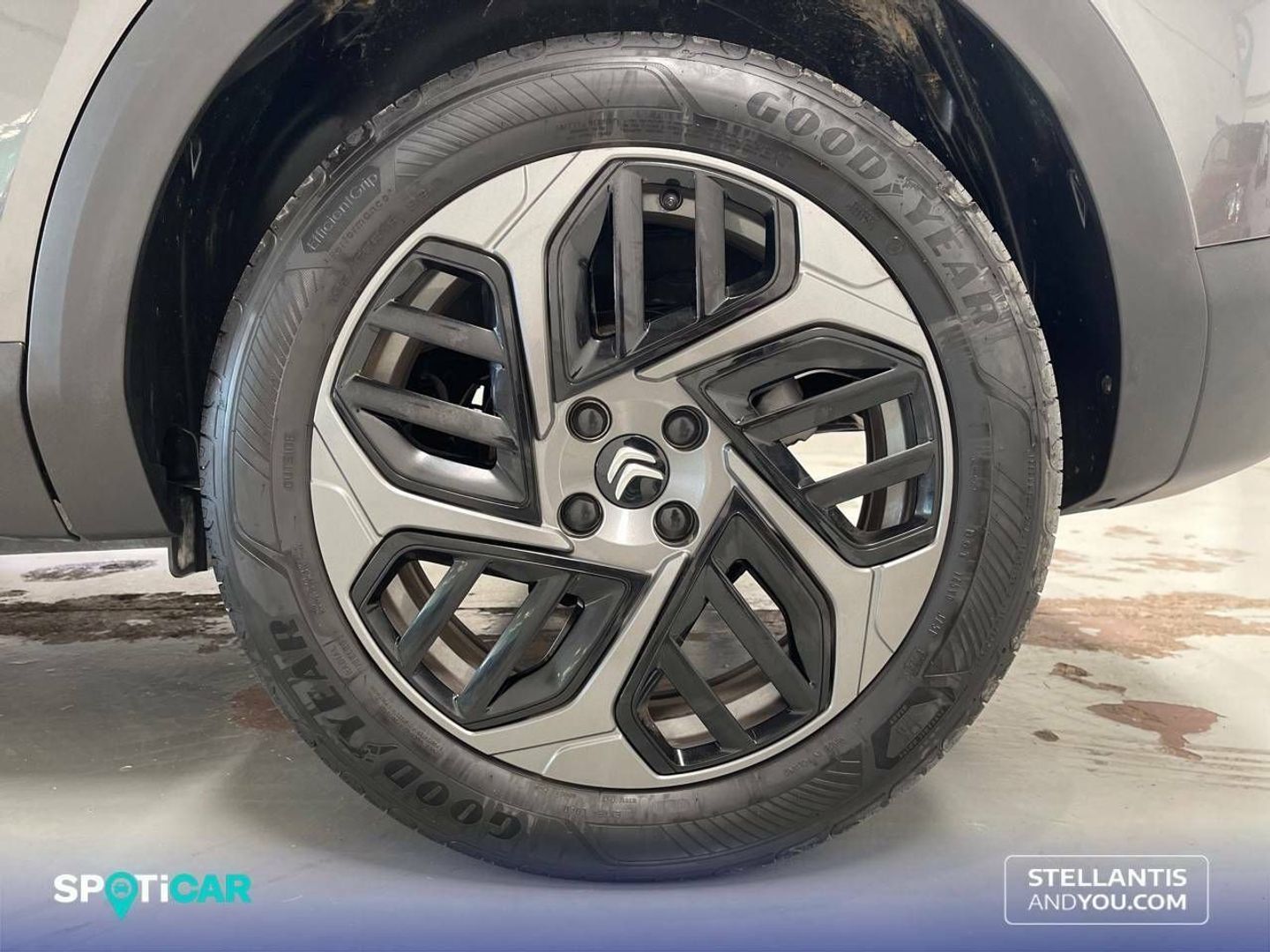 Citroen C4 BlueHDi 130 S&S Plus EAT8 96 kW (131 CV)