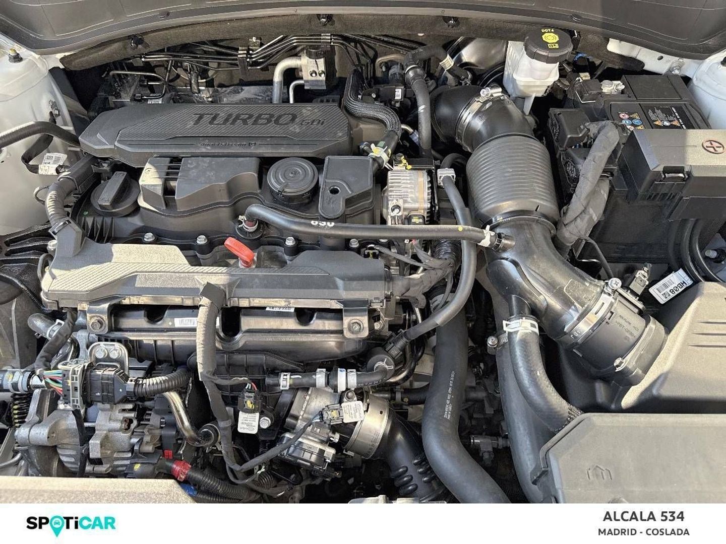 Kia Sportage 1.6 T-GDi MHEV Drive 17`` 118 kW (160 CV)