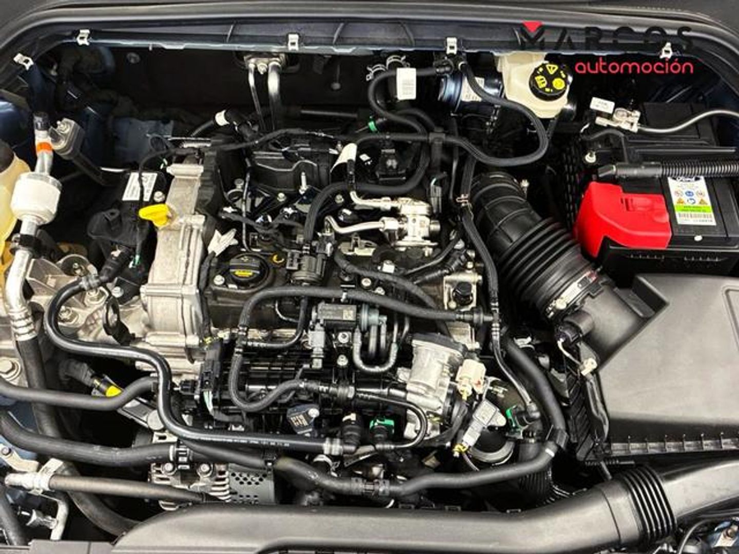 Ford Focus 1.0 Ecoboost MHEV Active 92 kW (125 CV)