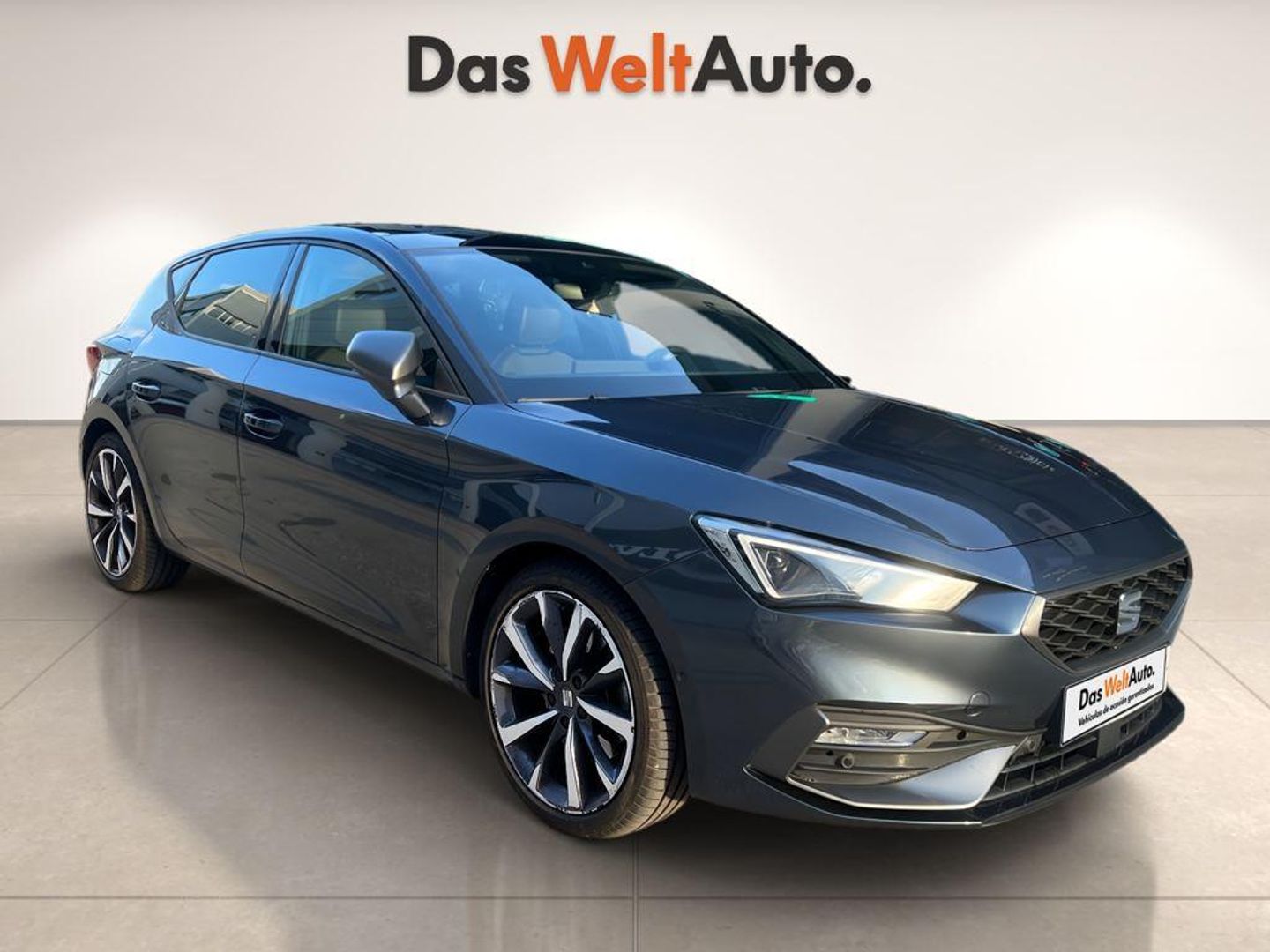SEAT León 1.5 eTSI S&S FR Go L DSG 110 kW (150 CV) Gris Compact