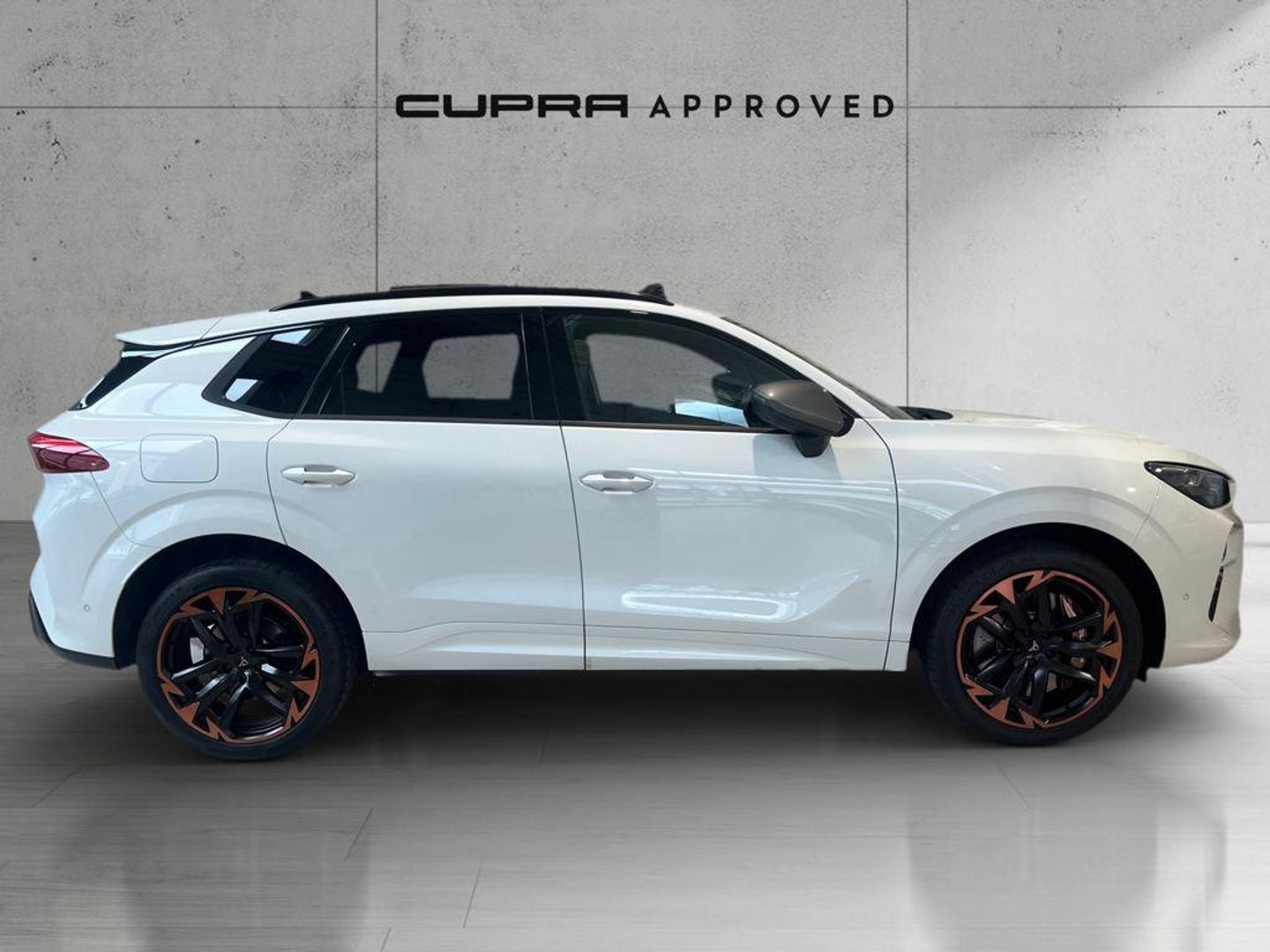 CUPRA Terramar 1.5 TSI e-Hybrid VZ DSG 200 kW (272 CV)