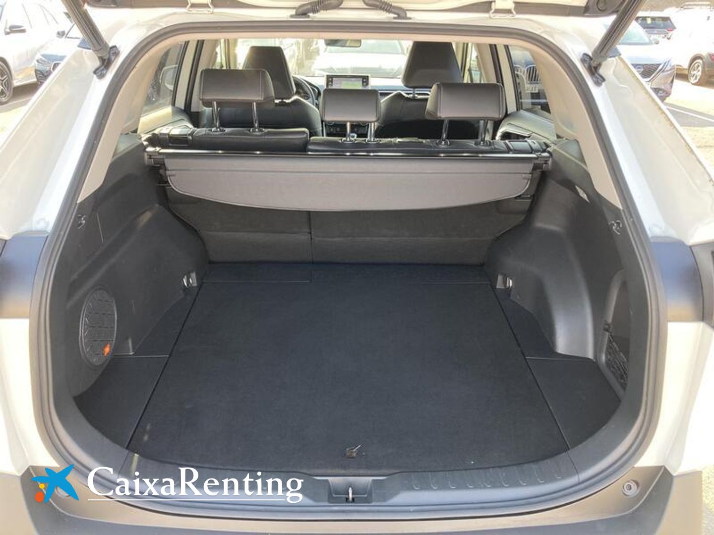 Toyota Rav4 2.5l hybrid Luxury 160 kW (218 CV)
