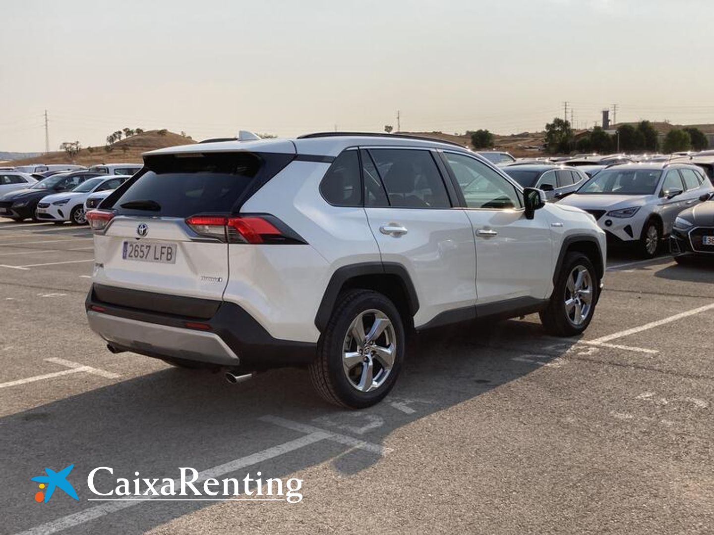 Toyota Rav4 2.5l hybrid Luxury 160 kW (218 CV)