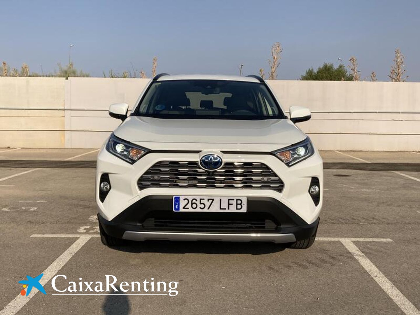 Toyota Rav4 2.5l hybrid Luxury 160 kW (218 CV)