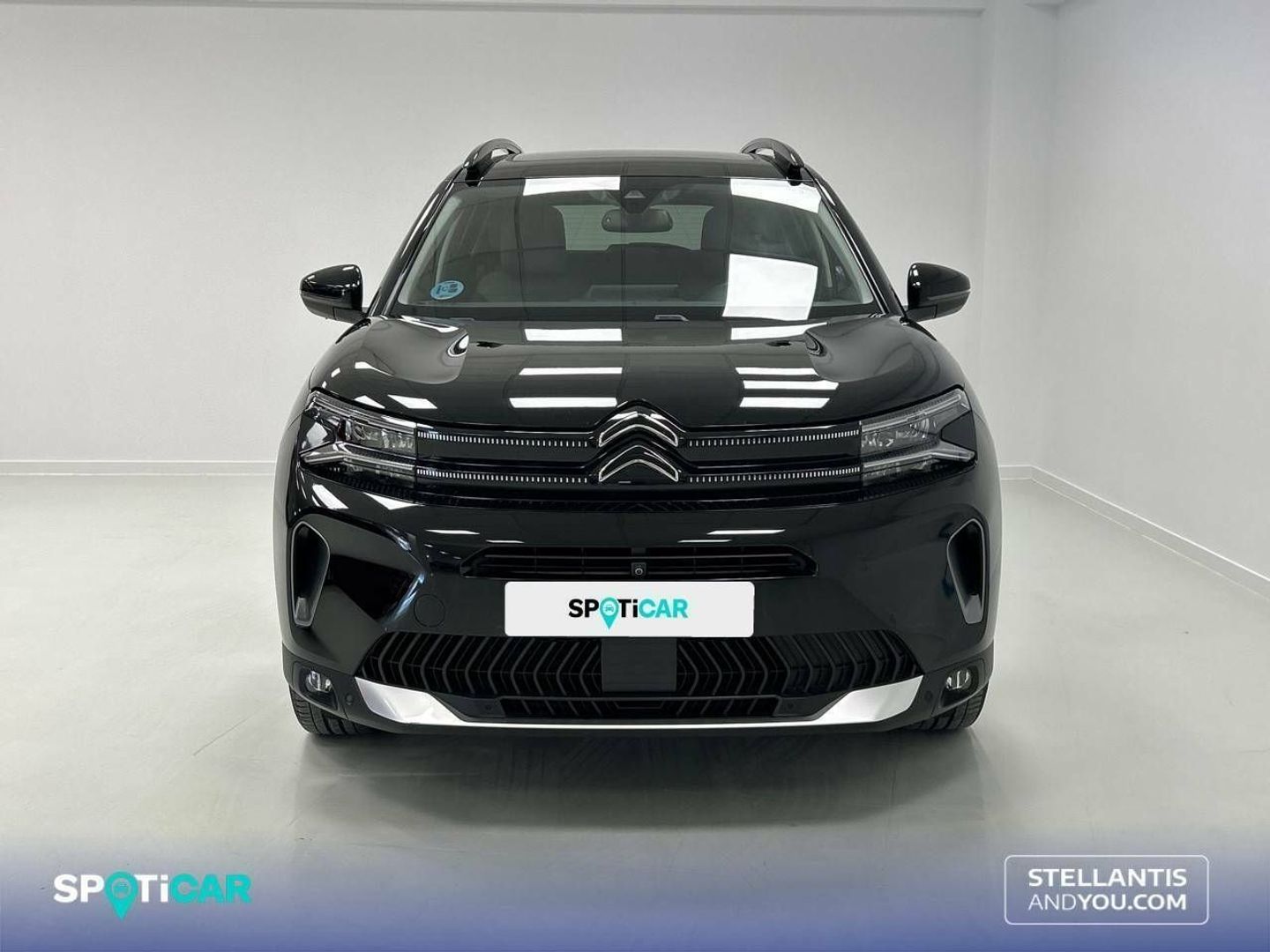 Citroen C5 Aircross BlueHdi 130 S&S Shine Pack EAT8 96 kW (131 CV)