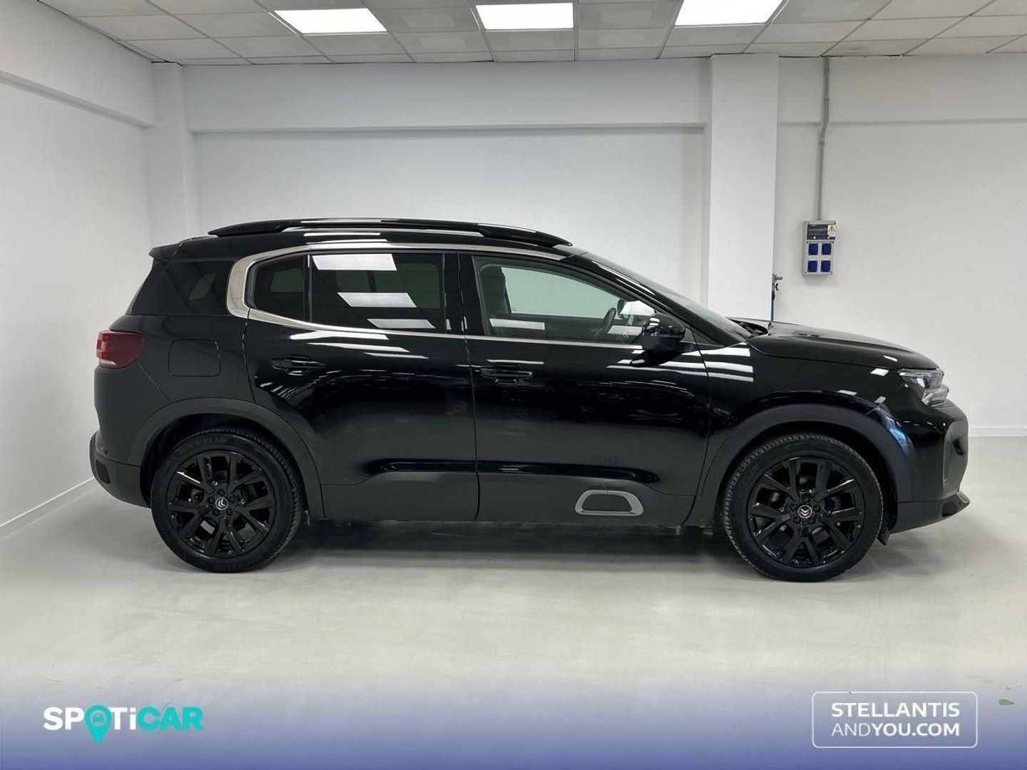 Citroen C5 Aircross BlueHdi 130 S&S Shine Pack EAT8 96 kW (131 CV)