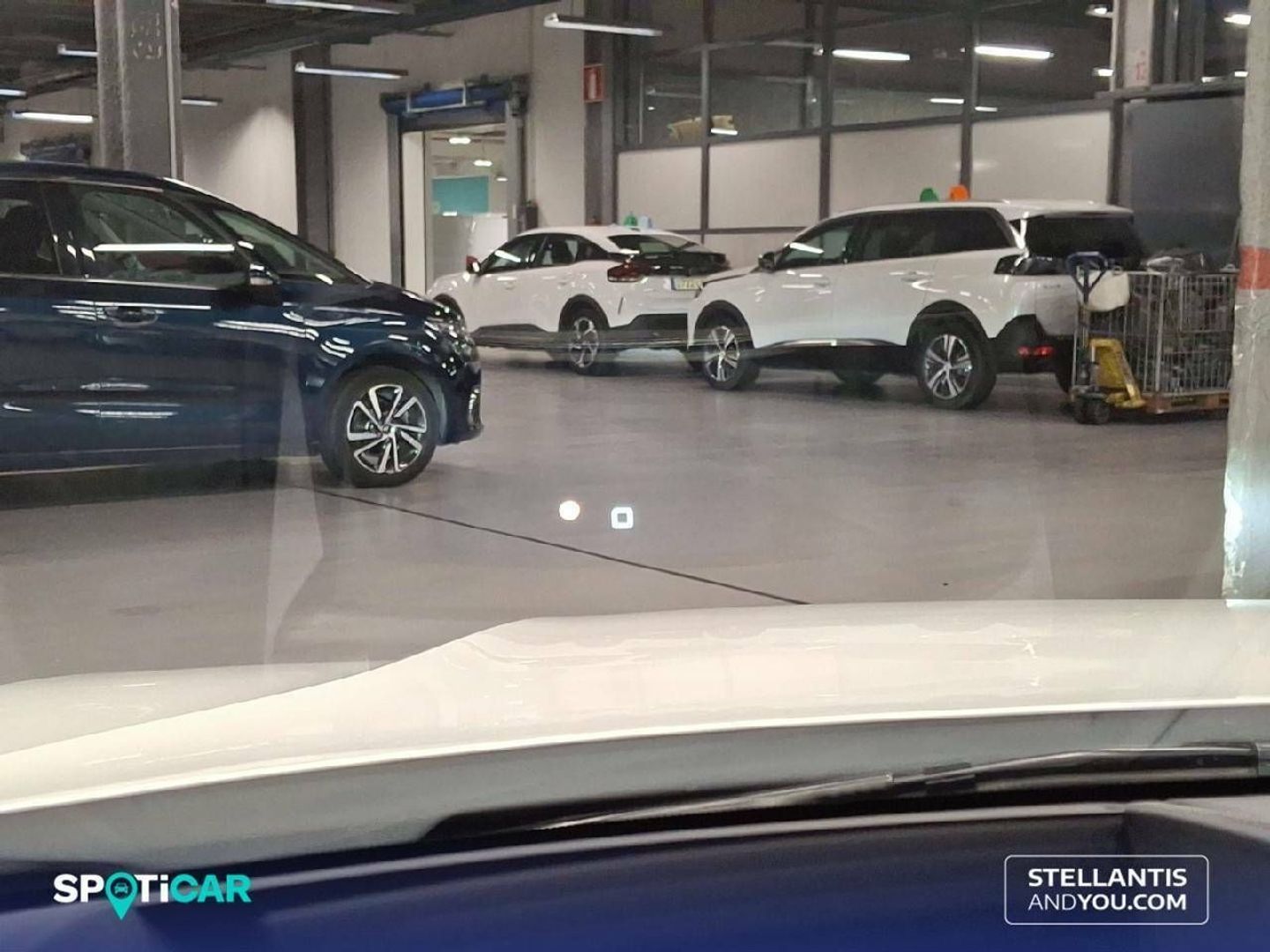 Citroen C5 X PureTech 130 S&S Shine EAT8 96 kW (130 CV)