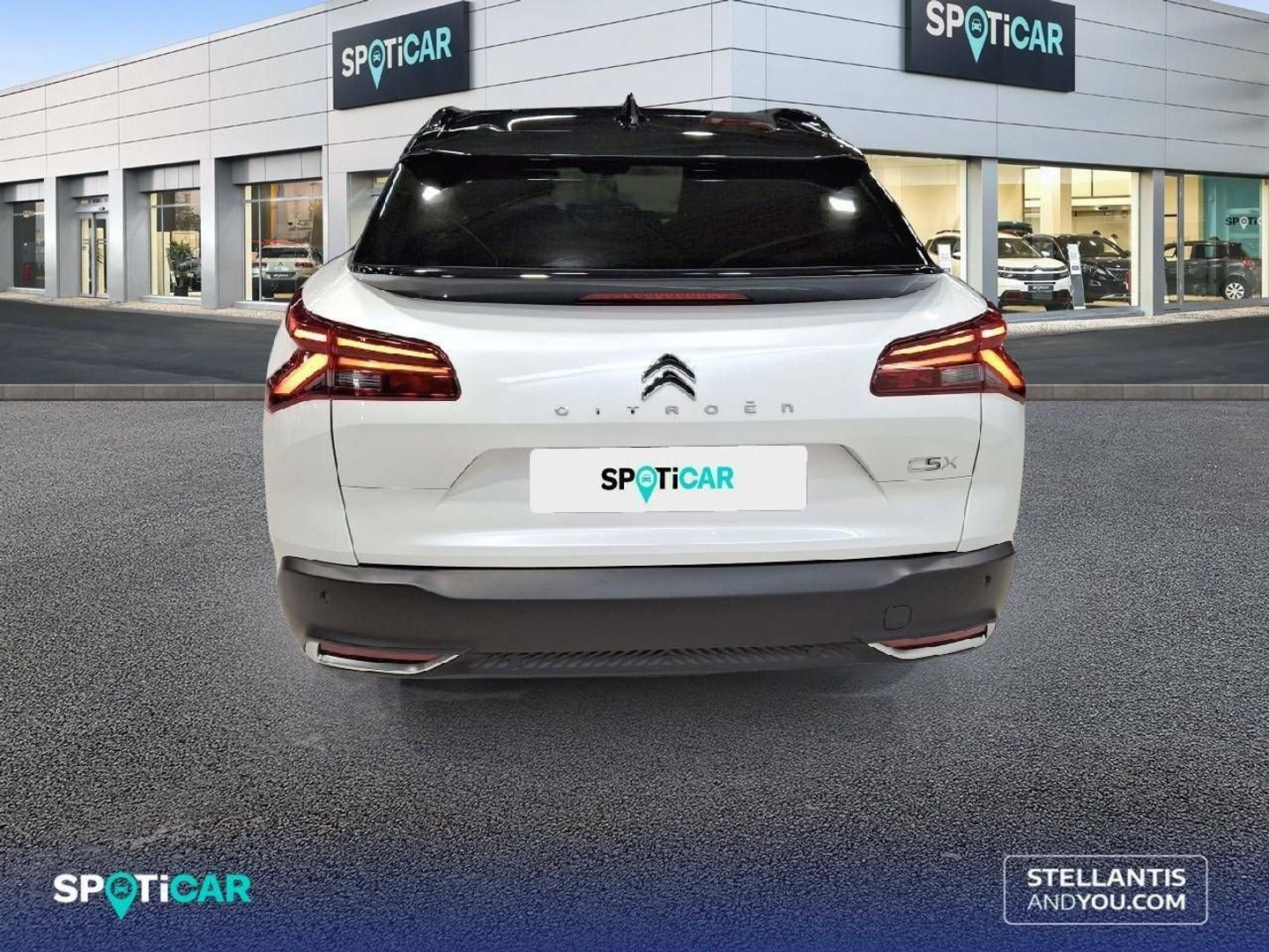Citroen C5 X PureTech 130 S&S Shine EAT8 96 kW (130 CV)