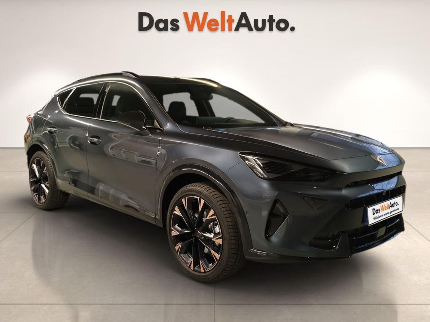 CUPRA Formentor 1.5 TSI e-Hybrid DSG 150 kW (204 CV) Gris SUV