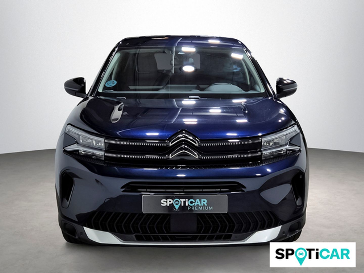 Citroen C5 Aircross PureTech 130 S&S Plus 96 kW (131 CV)