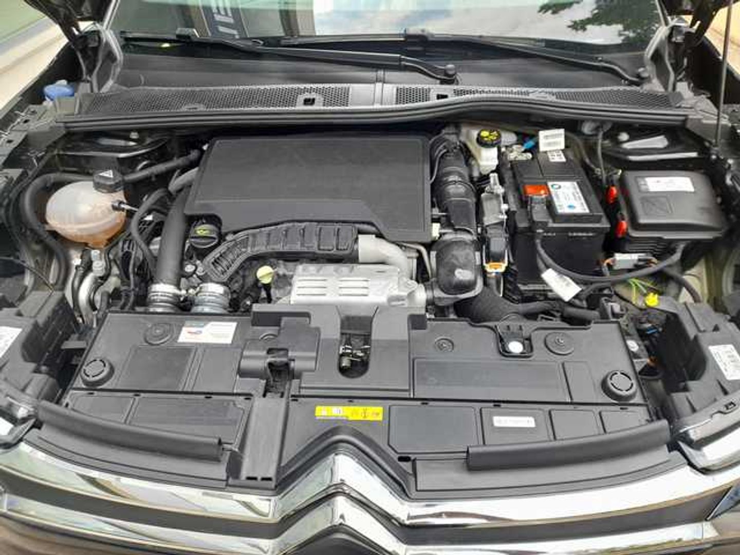 Citroen C4 PureTech 130 S&S Plus EAT8 96 kW (131 CV)
