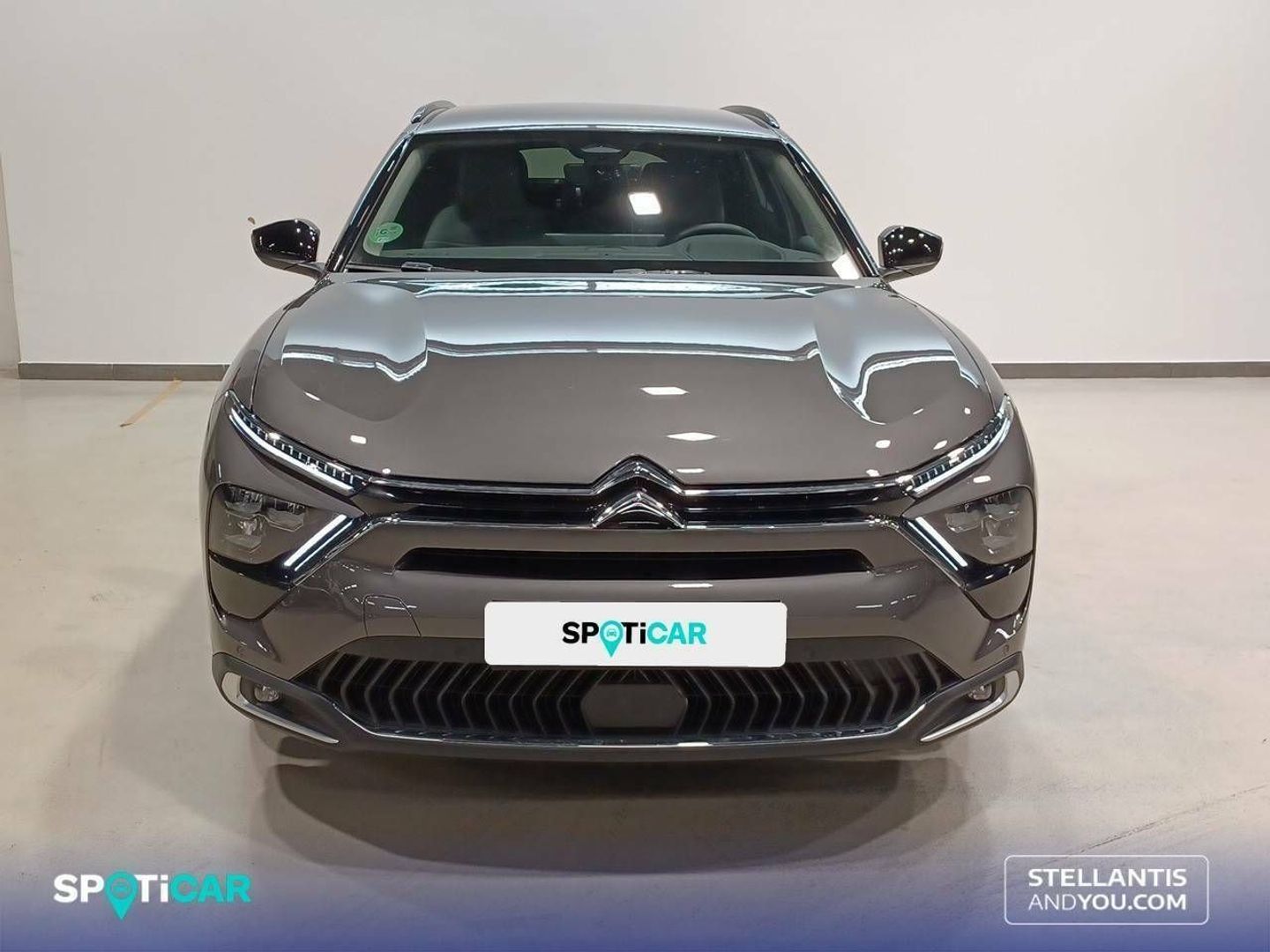 Citroen C5 X PureTech 130 S&S Shine EAT8 96 kW (130 CV)