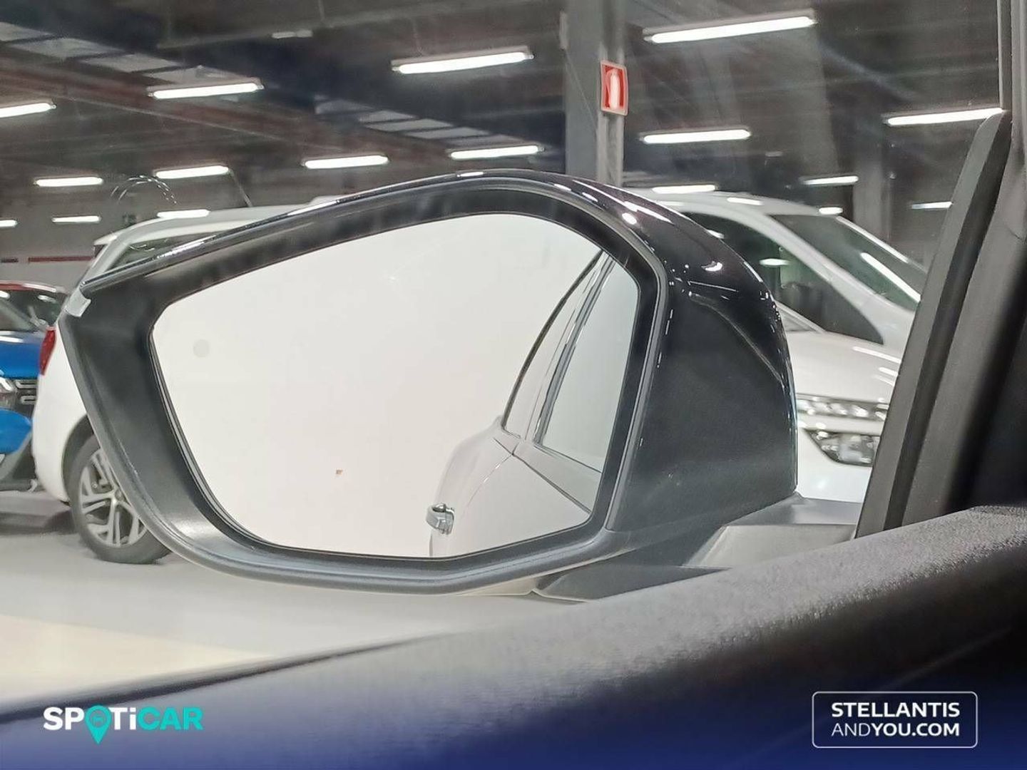 Citroen C5 X PureTech 130 S&S Shine EAT8 96 kW (130 CV)