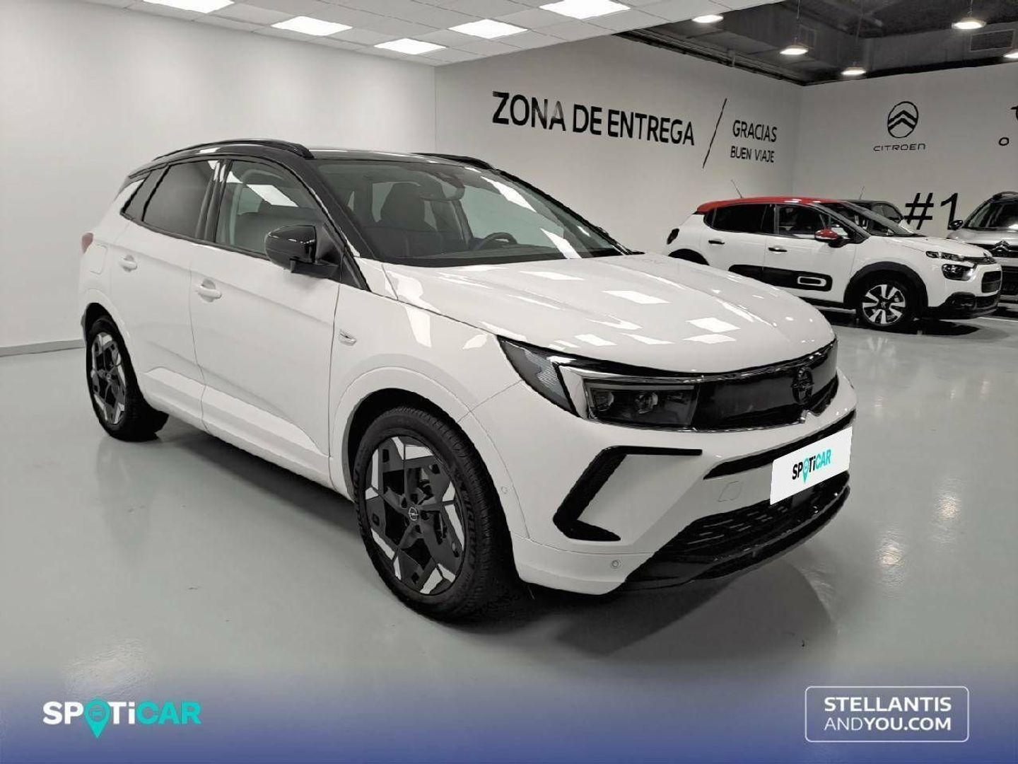 Opel Grandland 1.6 Turbo PHEV GSe Auto 221 kW (300 CV)